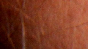 Unos 50 empleados recibirán el implante de un chip entre el índice y el pulgar en una funda de cristal poco más grande que un grano de arroz.