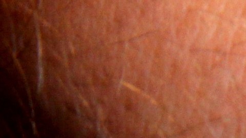 Unos 50 empleados recibirán el implante de un chip entre el índice y el pulgar en una funda de cristal poco más grande que un grano de arroz.