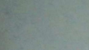 Las niñas podrán competir en EEUU.