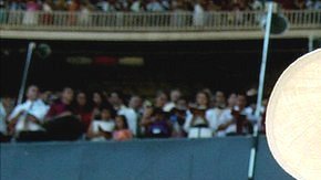 Los Testigos de Jehová se caracterizan por hacer una interpretación estricta de la Biblia