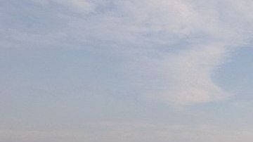 Despierta observando las aves en un recorrido guiado con los rangers del parque.