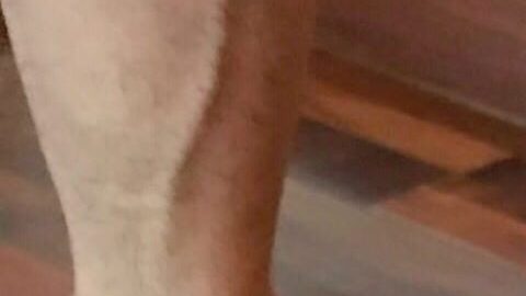 La foto del estado de Leopoldo López. Twitter.