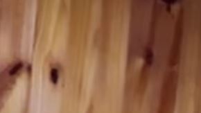 Coro de niños cantando la Despacito en Guaraní.