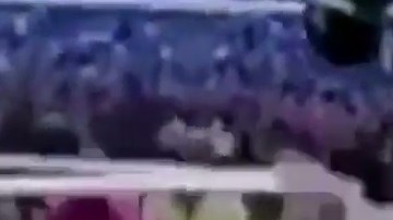 El presidente Trump "golpeando a CNN".