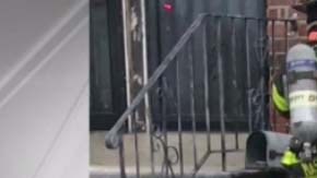 El hecho se reportó este viernes en una vivienda de la calle 222 en Springfield Gardens.