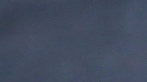 NYPD investiga el crimen