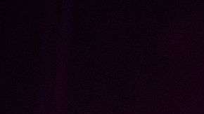 El polémico R. Kelly