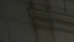 Oficiales de ICE entraron en la corte de Queens buscando a una víctima de tráfico sexual.