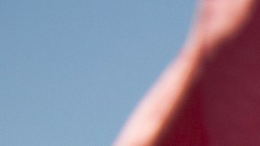 Los hispanos suman más de 50 millones en EEUU.