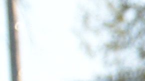 Las dos mujeres, asociadas a la pandilla, no han sido detenidas.