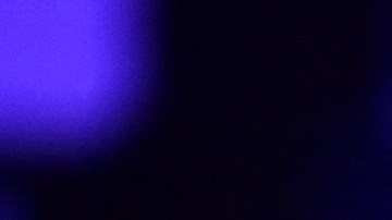 Coulter escribió el libro "En Trump confiamos".