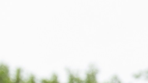 Trump Jr. se reunió con una abogada rusa en junio de 2016.