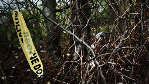 Escena de crimen en zona boscosa de Long Island, NY.