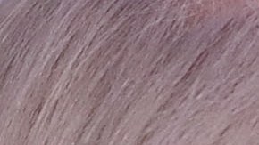 La asesora de la Casa Blanca volvió a ser víctima de las burlas en redes sociales.