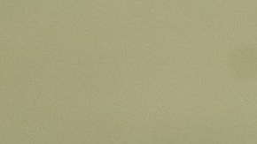 El expresidente Barack Obama.