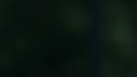 La Primera Dama defendió a su esposo, el presidente Trump, de críticas de los medios.