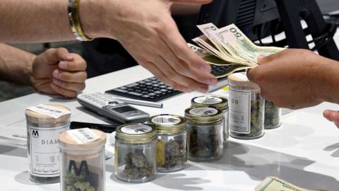 Las primeras tiendas de marihuana recreacional se instalarán en NY en el último trimestre de 2022 (Foto: Ethan Miller- Getty Images).