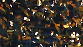 Con la consecución de la Eurocopa Sub-21 y la Copa Confederaciones, Joachim Löw tendrá 45 jugadores para elegir para defender la Copa del Mundo.