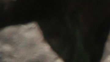 El presidente Trump visitó Polonia.