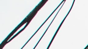 NYPD en El Bronx / Archivo.