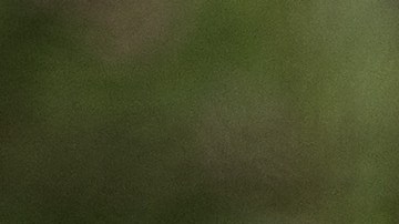 Miembros de NYPD se abrazan en el homenaje a Miosotis Familia, que fue asesinada mientras patrullaba en El Bronx.