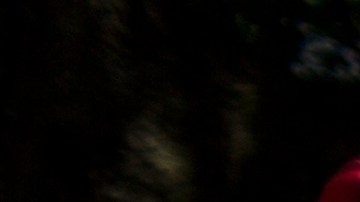 La marca provocó miles de reacciones en redes sociales.