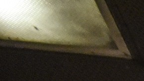 MTA acabó la semana como la empezó: caos en el Subway.