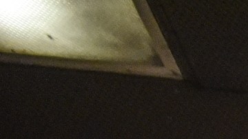 MTA acabó la semana como la empezó: caos en el Subway.