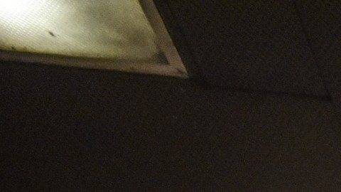 MTA acabó la semana como la empezó: caos en el Subway.