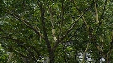 Bryant Park, Midtown Manhattan, NYC.