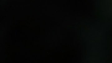 Ivanka parece no tener la influencia que se pensaba en la Casa Blanca,