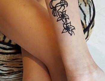 La henna negra es usado en productos para pintar el cabello.