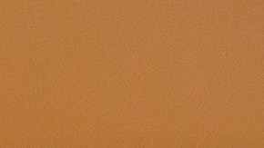 L. Xavier Cano es uno de los candidatos a ser el 2017 Coors Light Líder.