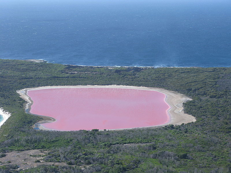 Lago rosado, Hillier
