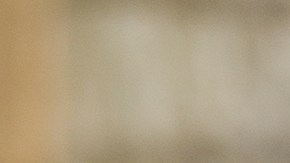 Luis Salgado es uno de los candidatos a ser el 2017 Coors Light Líder.