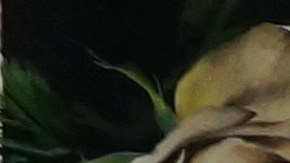 Parte del set de La casa de las Flores. Obra de la artista Roberta Lobeira.