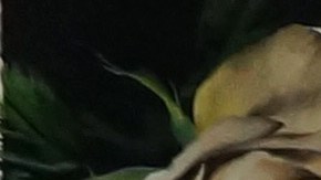 Parte del set de La casa de las Flores. Obra de la artista Roberta Lobeira.