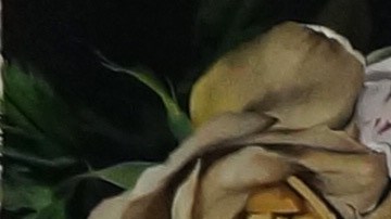 Parte del set de La casa de las Flores. Obra de la artista Roberta Lobeira.