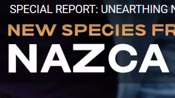 Gaia publicó un reportaje sobre la supuesta momia extraterrestre.