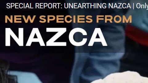 Gaia publicó un reportaje sobre la supuesta momia extraterrestre.