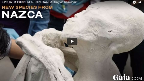 Gaia publicó un reportaje sobre la supuesta momia extraterrestre.