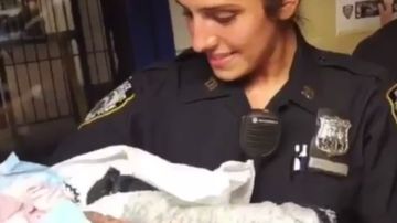 Ana Martínez agarra en brazos a la pequeña que nació en una estación de tren de Brooklyn.