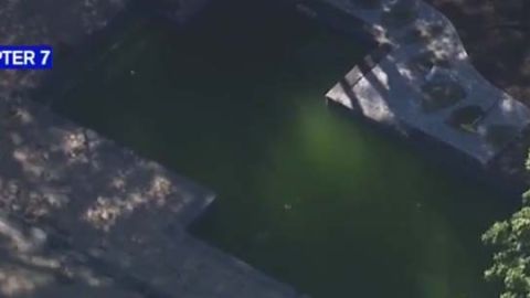 La familia estaba reparando la piscina.
