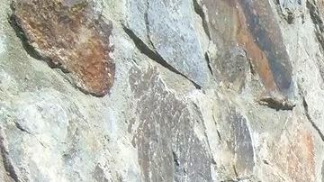 Presencias en Malecón. Ensenada, B.C.