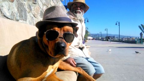 Presencias en Malecón. Ensenada, B.C.