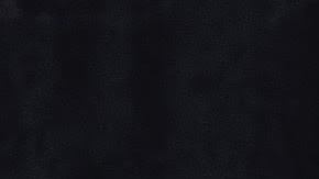 El cantante y compositor de bachata y pop, Prince Royce.