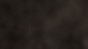 El principal objetivo del plan es eliminar las fuentes de alimentos para las ratas.