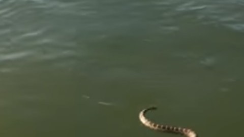 La escena te sorprenderá.