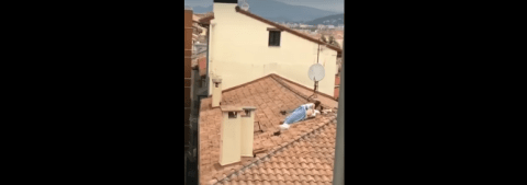 La pareja tuvo sexo en el tejado