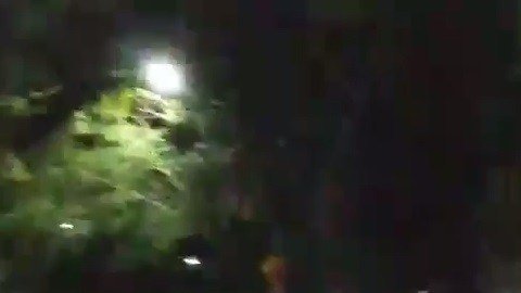 Dennis Ofuoma insultó a varios reporteros que se acercaron a cubrir su arresto.